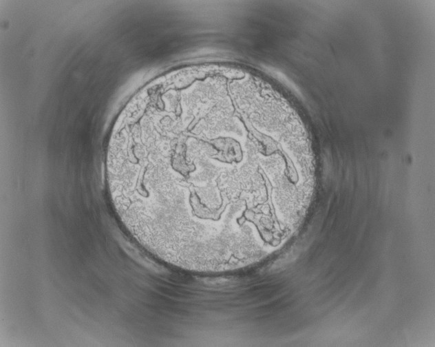 X0000069391413200606091705