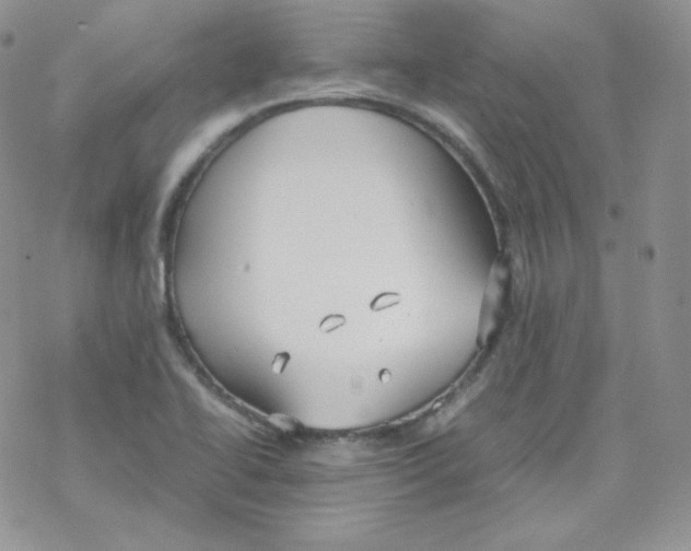 X0000069391414200606091705