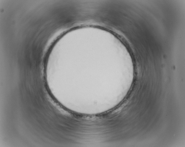 X0000069391416200606091705