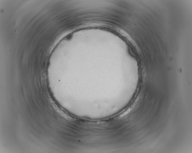 X0000069391417200606091705