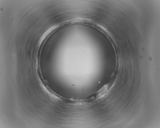 X0000069391418200606091705