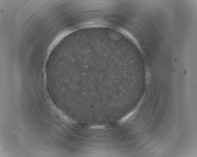 X0000069391419200606091705