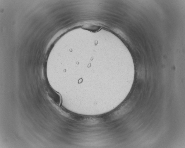 X0000069391420200606091705