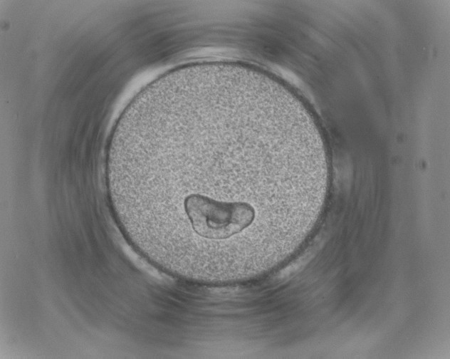 X0000069391421200606091705