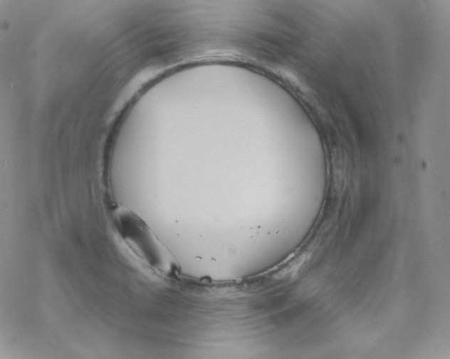 X0000069391422200606091705