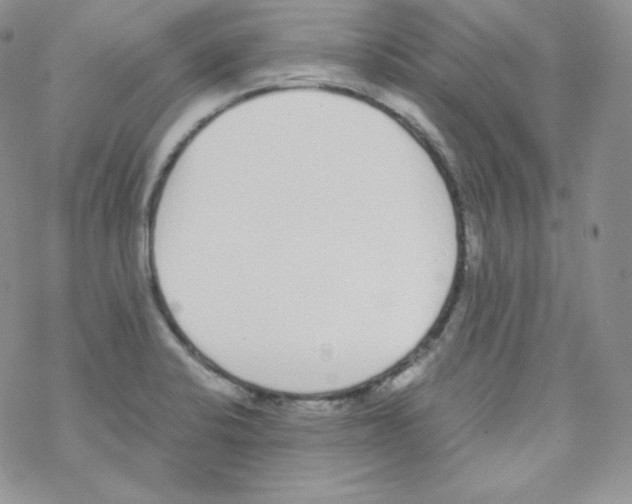 X0000069391424200606091705