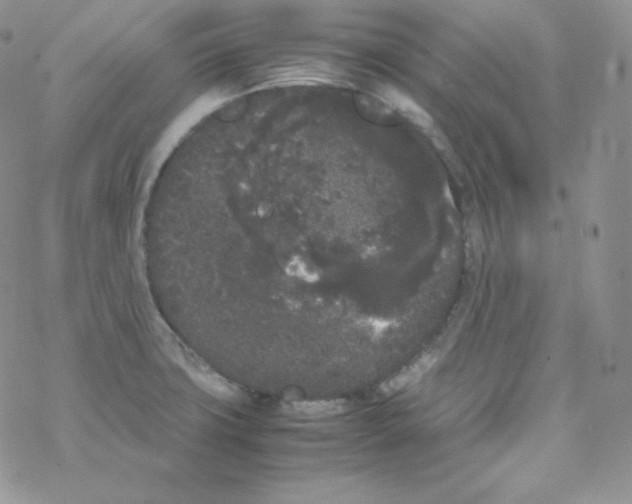 X0000069391427200606091705