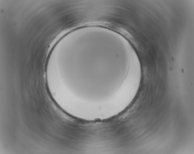 X0000069391428200606091705