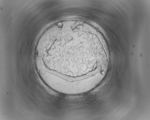 X0000069391429200606091705