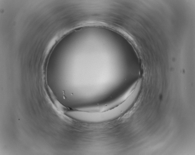 X0000069391430200606091705