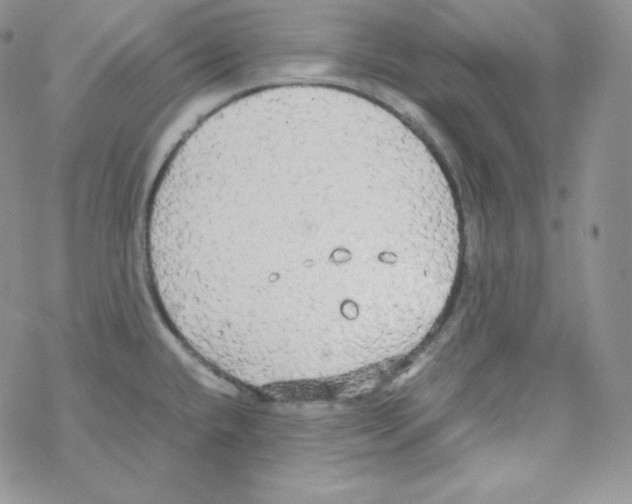 X0000069391432200606091705