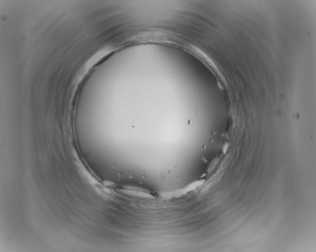 X0000069391434200606091705