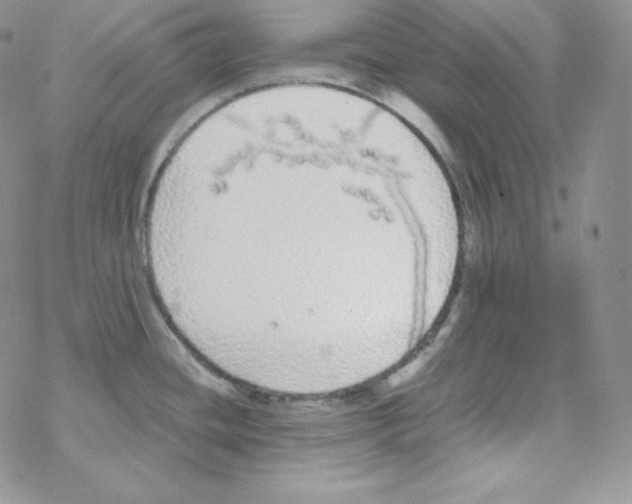 X0000069391436200606091705