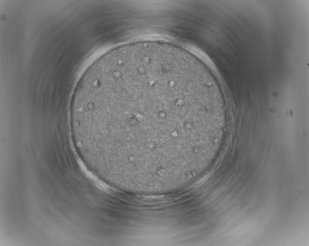 X0000069391439200606091705