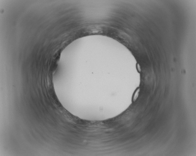 X0000069391442200606091705