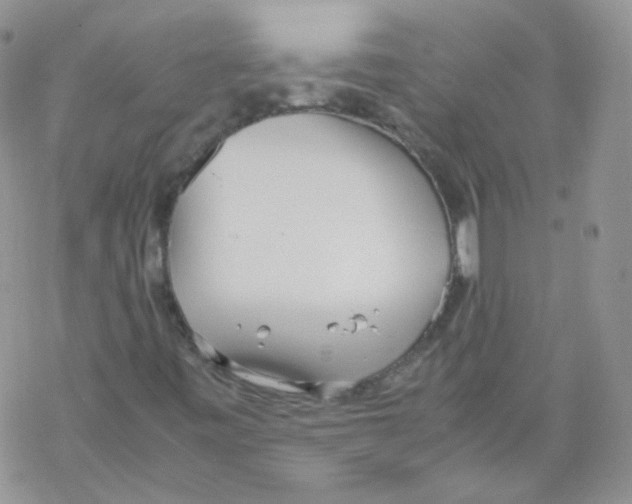 X0000069391443200606091705