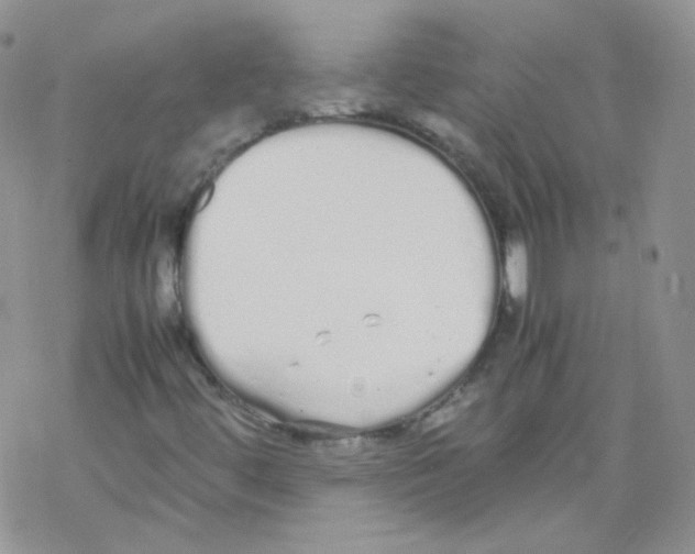 X0000069391444200606091704