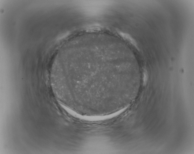 X0000069391445200606091704