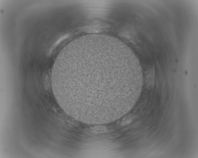 X0000069391446200606091704