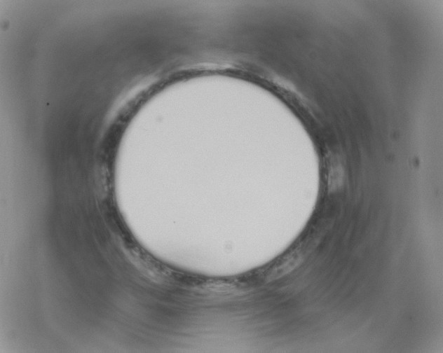 X0000069391448200606091704