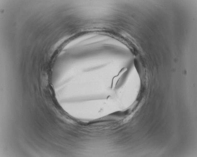 X0000069391449200606091704