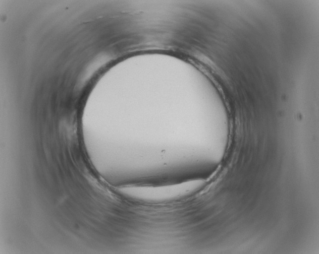 X0000069391450200606091704