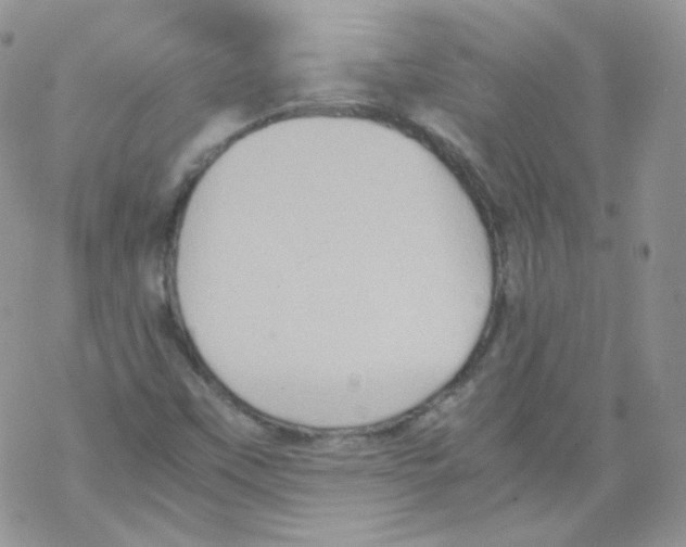 X0000069391451200606091704