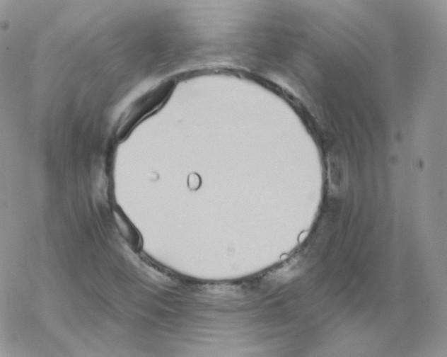 X0000069391452200606091704