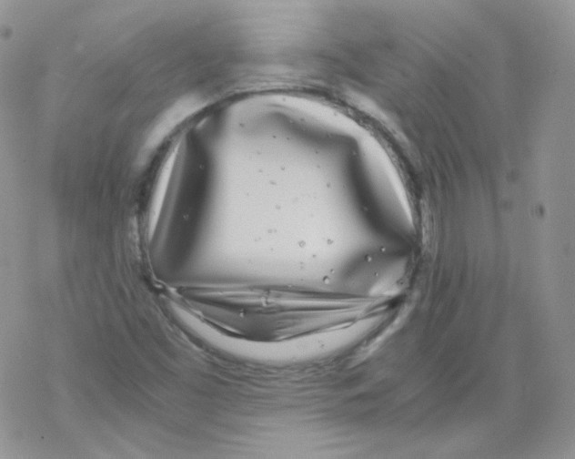 X0000069391453200606091704