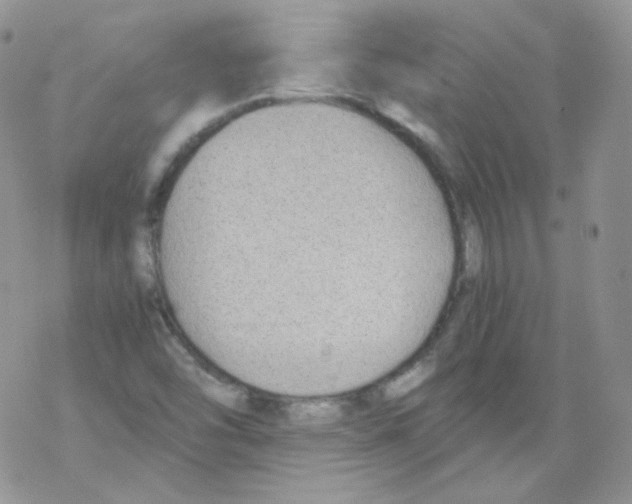 X0000069391454200606091704