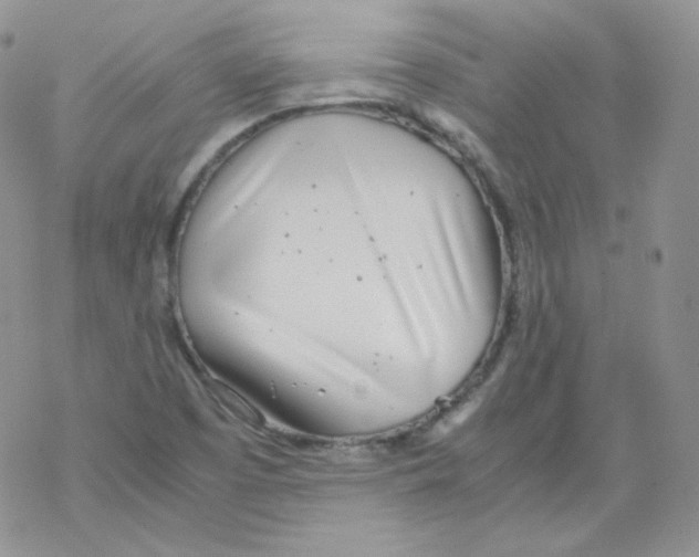 X0000069391457200606091704