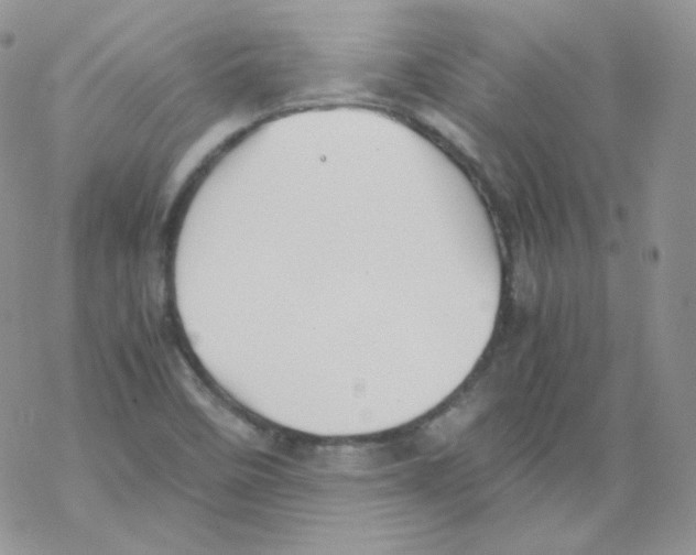 X0000069391458200606091704