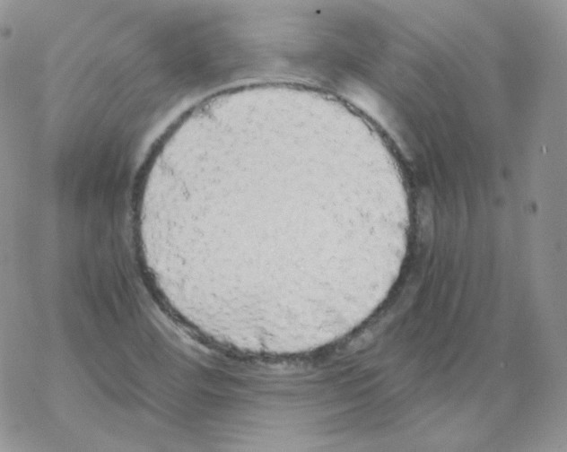 X0000069391460200606091704