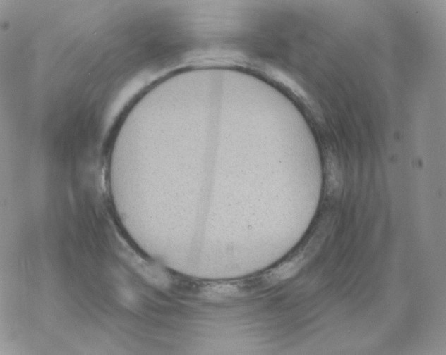 X0000069391462200606091704