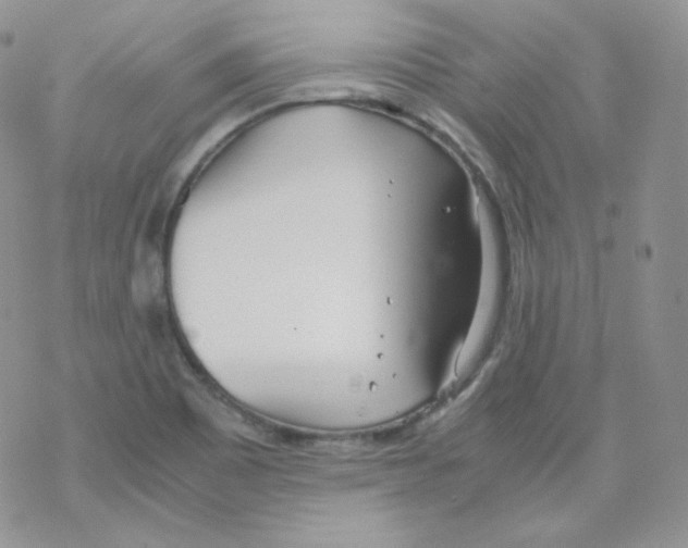 X0000069391465200606091704