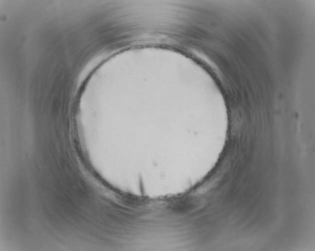 X0000069391467200606091704