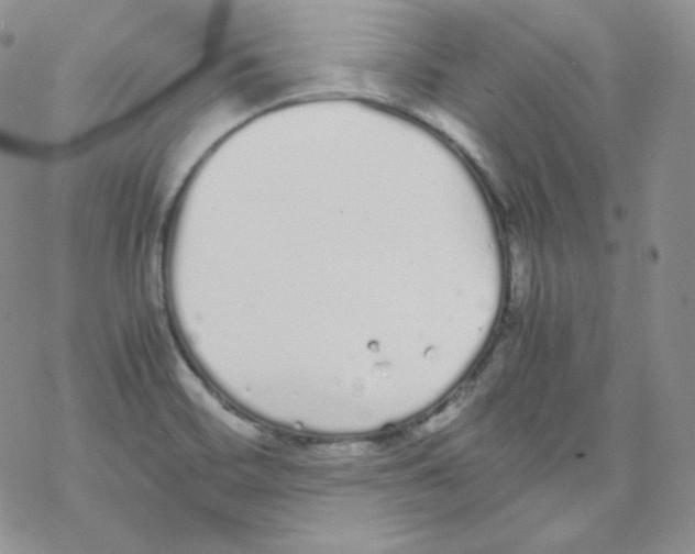 X0000069391468200606091704