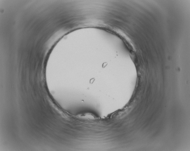 X0000069391469200606091704