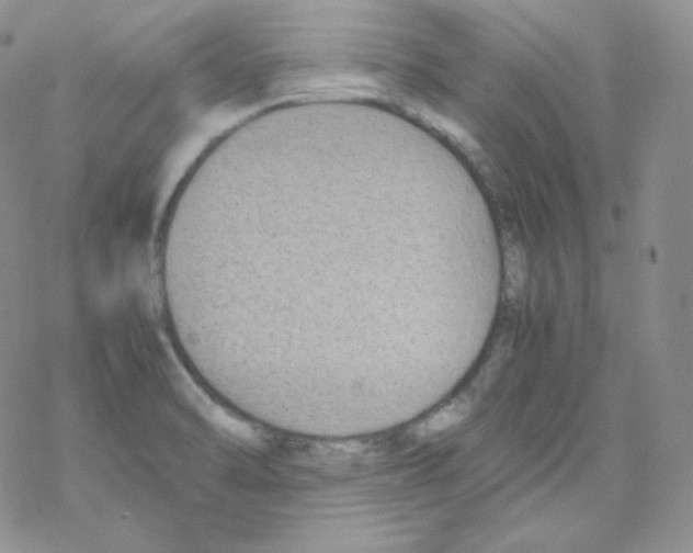 X0000069391470200606091704