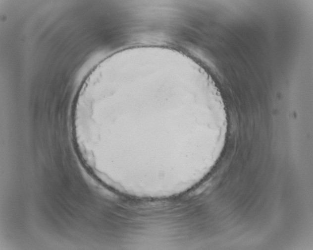 X0000069391471200606091704