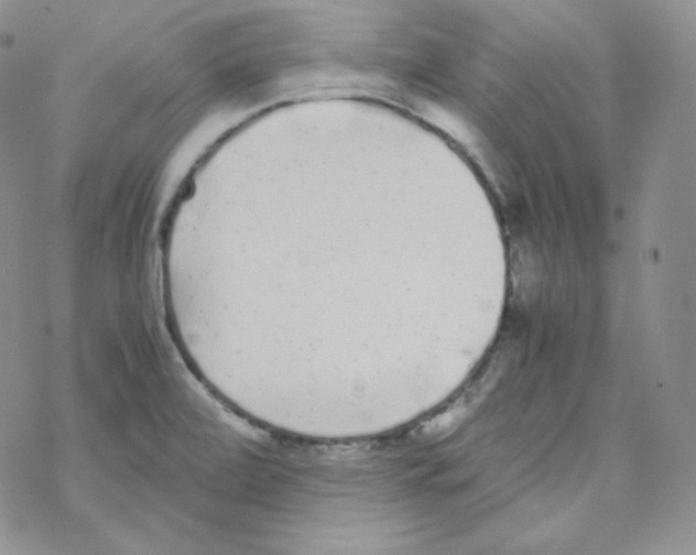 X0000069391472200606091704