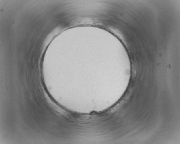 X0000069391475200606091704