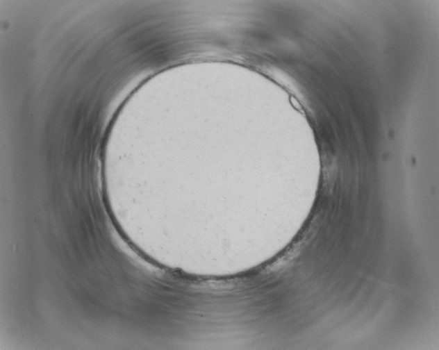 X0000069391476200606091704