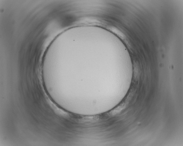 X0000069391478200606091704