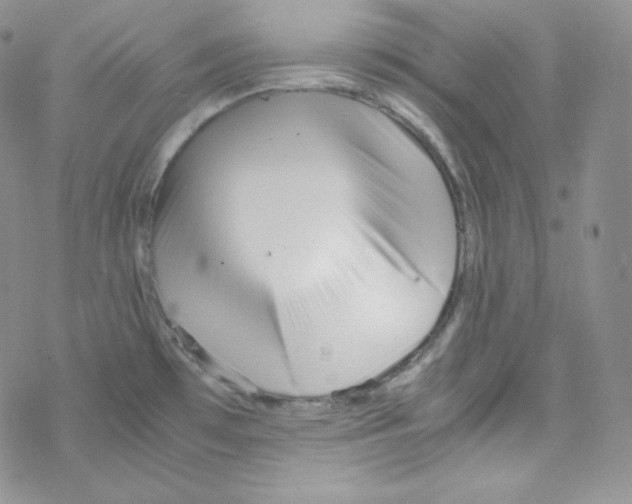 X0000069391481200606091704