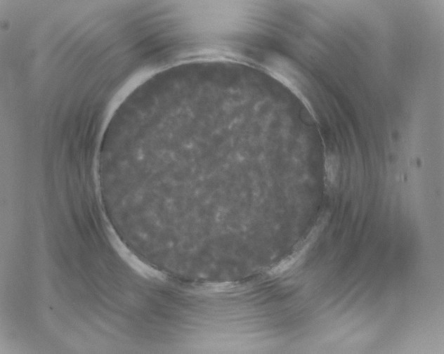 X0000069391482200606091704