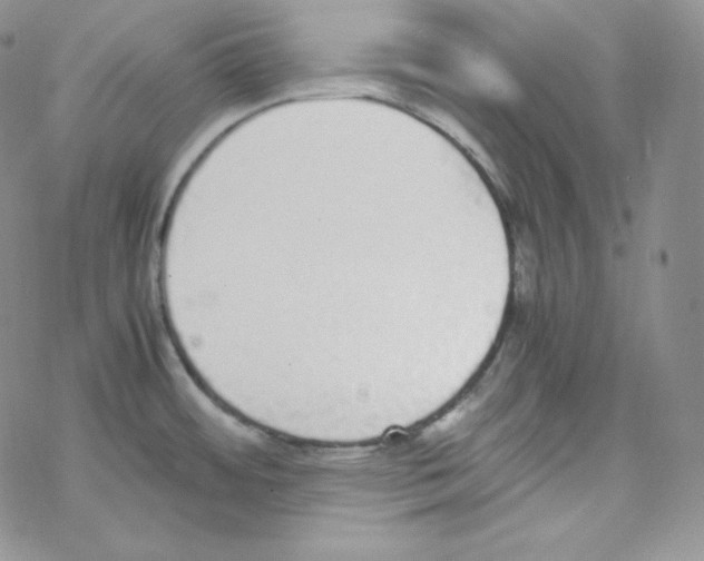 X0000069391484200606091704