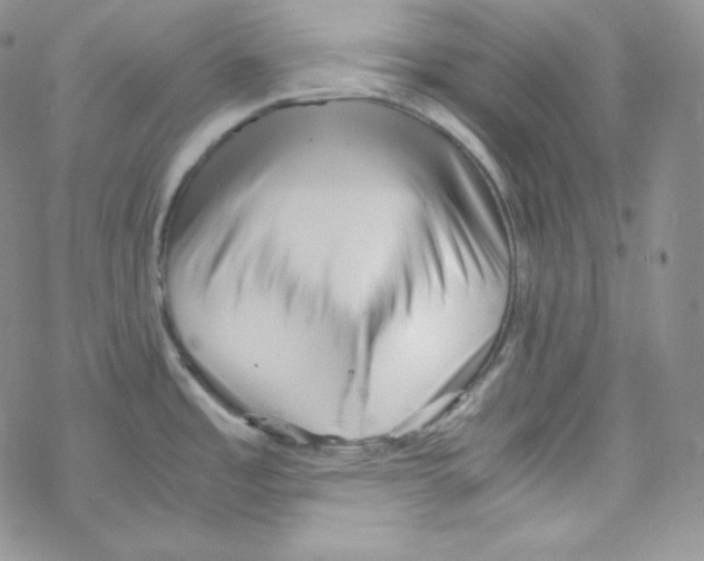 X0000069391485200606091704