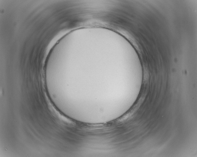 X0000069391486200606091704