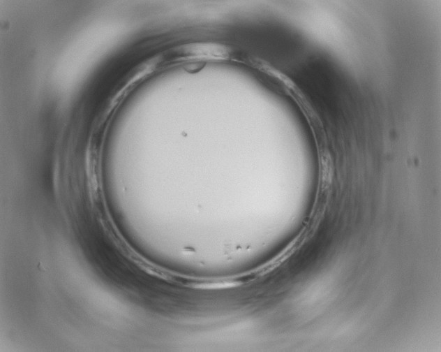 X0000069391487200606091704